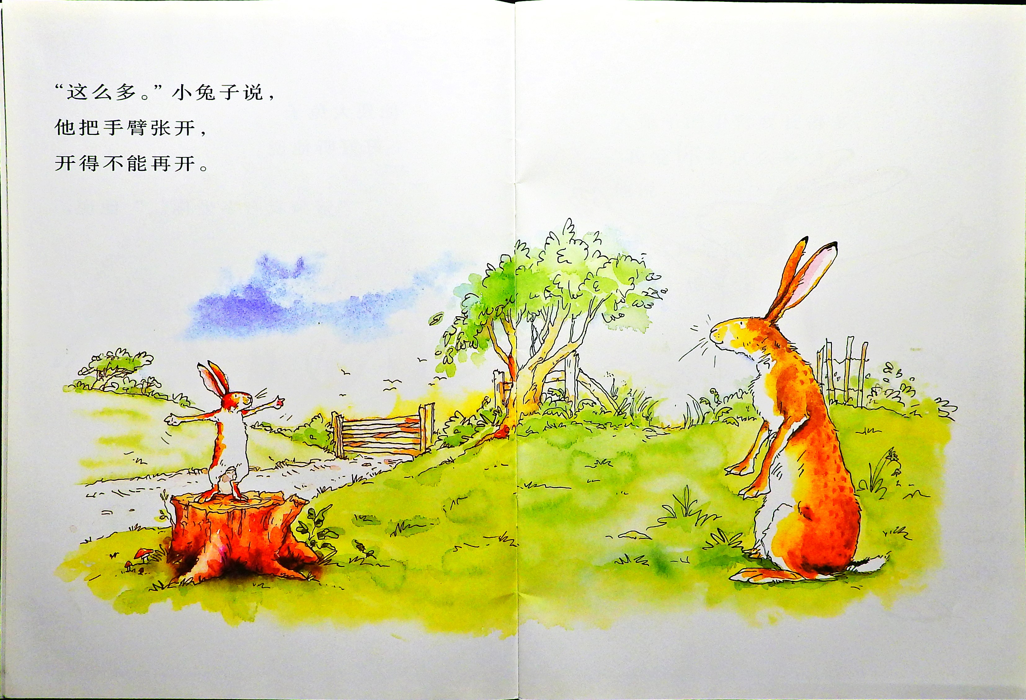 猜猜我有多爱你 (06),绘本,绘本故事,绘本阅读,故事书,童书,图画书,课外阅读